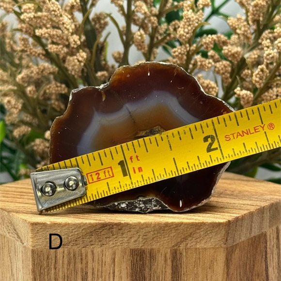 Coyamito Agate from Chihuahua Mexico - Picture 6 of 7